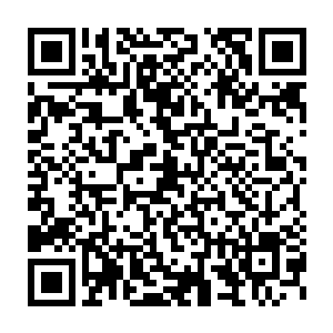 大梦的两部上映新片却是出乎大家意料的刷了一把存在感――11月20日二维码生成