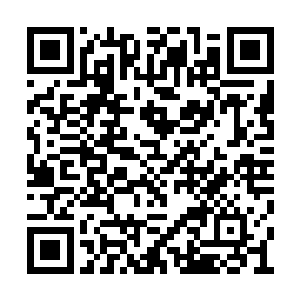 如今据估计上元大陆的修士数量已经不到二百亿二维码生成