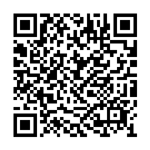 如果他上一次就说他们已经是守护者最后一代了二维码生成