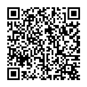 如果你什么都不想学了的话……你也可以立刻申请去完成结训任务二维码生成