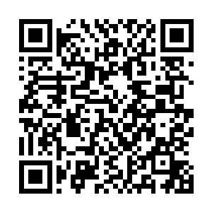 宇文菲姬和杜蕾思正准备施展第二招符咒攻击孙悟空的时候二维码生成