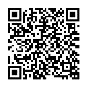 安排回撤的弟子和收刮华阳宗和神机宗的战利品还没有完事吗二维码生成