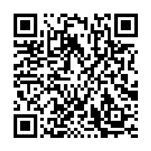 完全可以轻松将弯刀掌握和刀术等级一同推上凡间的巅峰二维码生成