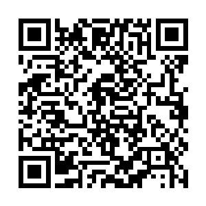 实在是没听说哪家政府的信访办是设在政府大院里的二维码生成