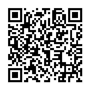 对彼此关系的定义以及界限的划分让他们都感到足够的安全二维码生成