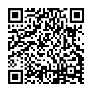 射入他们体内的淡金色光芒似乎也在改造着他们的神经系统二维码生成