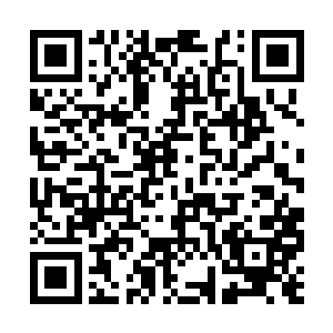 将一家不过几千万资产的企业发展到如今这般规模二维码生成