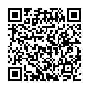 将一种全新的模型后羿族的主脑和大群之间信息交互的模型二维码生成