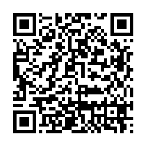 将有刺客冒充敬王府的信使刺杀我的消息散播出去二维码生成