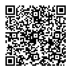 将这个实力达到了宗师级中期的达蒙拍成了碎片……至于他手上的那块006编号的铁牌子二维码生成