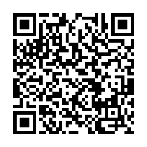 小九他们做了几套给他们参加明日的化装舞会用的二维码生成