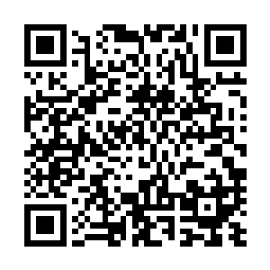 尤其是中小企业的信用征信体系建设起到了十分重要的作用二维码生成