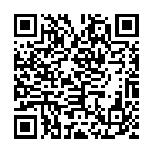 就是他定王的身份就注定了他无法将大量的时间用在武功修为上二维码生成