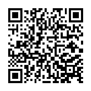 就有无数人通过各种各样的方式表示相信柳逸尘一定会赢二维码生成