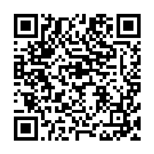 就跟你们偶尔会因为怜悯放过或者帮助你们猎到的动物一样二维码生成