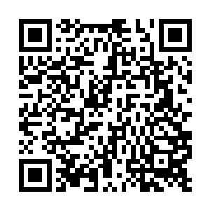 巴克从模拟表盘的荧光屏上看不到任何信息和号码二维码生成