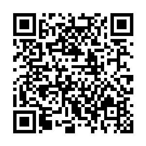 待他们走后虎一瞧了瞧主舱房哼了哼表示勉强满意二维码生成