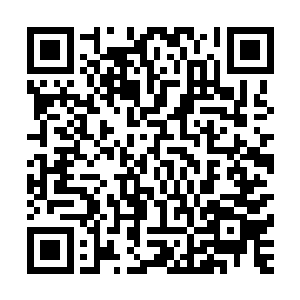怎么赵纯良的照片会出现在nmd投资公司董事长办公室的桌子上二维码生成