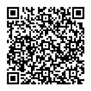 想用红衭住在秦纵横名下别墅这一点儿来指证他犯罪指使杀手红衭袭击自己是不可能实现的二维码生成