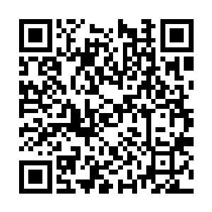 我也一定是双手支持的……可用钱来衡量它的价值二维码生成