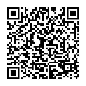 我代表本次慈善晚宴的组委会和环江区民工子弟学校由衷的表示感谢二维码生成