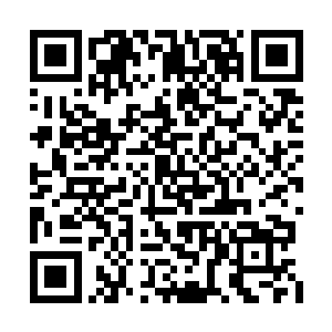 我们明天早上就得率先发动攻击打断他们的计划二维码生成
