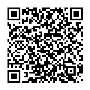我们根本就没想到这部电视剧能有这样的成绩――如果不乘下周移过去二维码生成