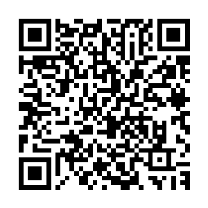 我们的确没发现你们格森王国有什么让我们天鹰王国忌惮的地方二维码生成