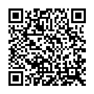 我己经可以大致估算出宇宙修士和仙人之间战力该如果换算了二维码生成