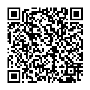我想即使是总统兄弟都会为你倾倒――我们很快就会接到他们的电话的二维码生成