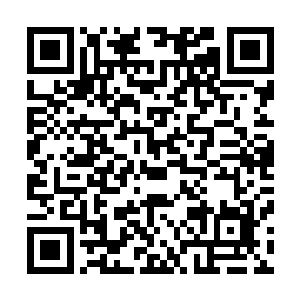 我现在没有能力连根刨除了古树彻底排除古树会成妖的隐患二维码生成