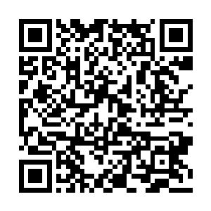 或许是汤姆bada艺术学校表演老师的身份证明了一切二维码生成