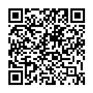 所以我决定把我们新上马的家禽养殖项目全部放在梨花村二维码生成