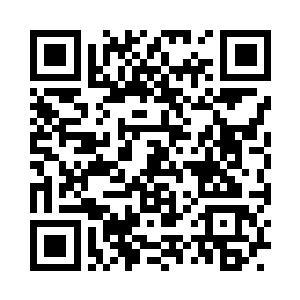 把他们的全部数据都融入到我的数据库里二维码生成