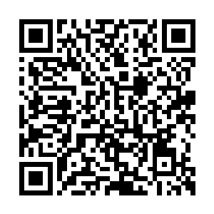 把尚动赠卡持有者的会员登记信息拿到会议室来二维码生成