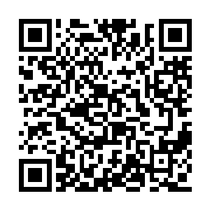 整个过程中他们根本没有分神去寻找攻击的空隙二维码生成