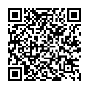 无差别攻击的啃噬小银鱼似乎真的不攻击那条悠闲的小木船二维码生成