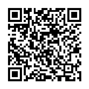 无数先烈和同胞用生命浇灌的理念都被你一手扼杀了二维码生成