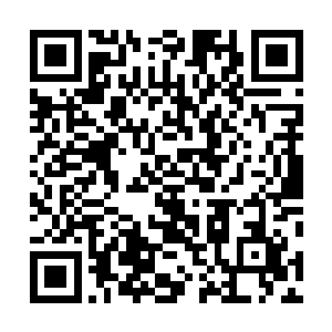 无论是站在红地毯上还是站在红地毯外侧的人都目不暇接二维码生成