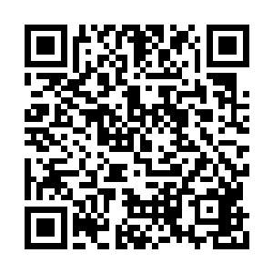 是不是一经确定鸿基集团肯定不会在昌州落户了二维码生成