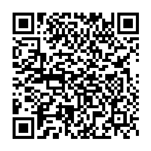 更多的也是想要结交这位小海皇波塞希的……现在对方主动表示出来二维码生成