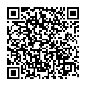 李长生在上朝时便按照沈喜臻所给的建议向光昭帝上交了一份计划书二维码生成