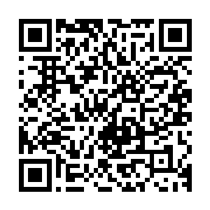 杨晨到现在为止一直都是用这柄灵剑和三只恶灵展开激烈的战斗二维码生成