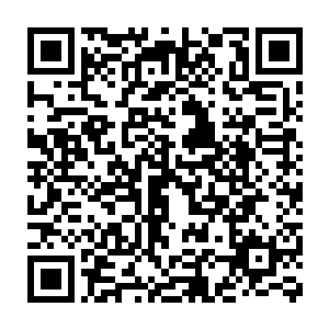 杨晨就在多种不同灵兽的实验下开始研究灵液的用量以及对灵兽的影响二维码生成