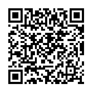 林母林父已经带着在家里逛过一遍的亲戚朋友们二维码生成