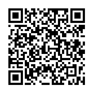 林灵表现出来的战斗神采以及战斗时候表现出来的状态二维码生成