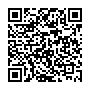 林烽体内增长缓慢的元气又一次开始坐火箭似得攀升二维码生成