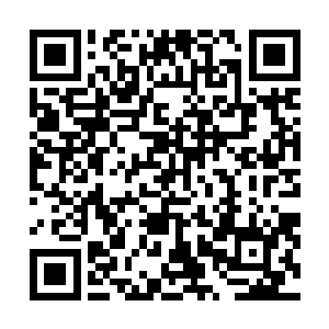 根据之前的提示采用攻击大树和草丛的方式落实图案幻境二维码生成