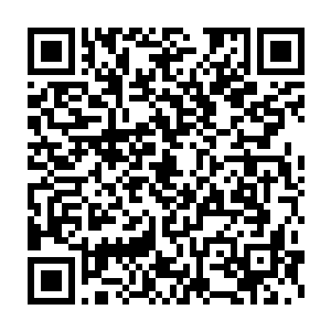 桀简直太棒啦以后他要叼着他们教他们学飞还要抓野兽……这么小二维码生成