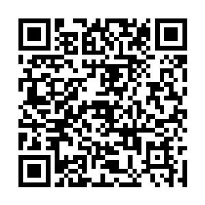 楚暮可以看到一双充满仇恨和杀意的目光透过时空二维码生成